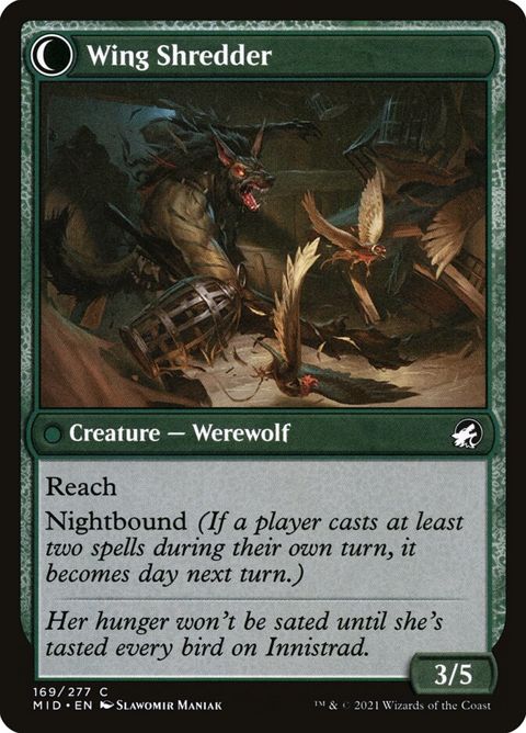 Bird Admirer // Wing Shredder (169)