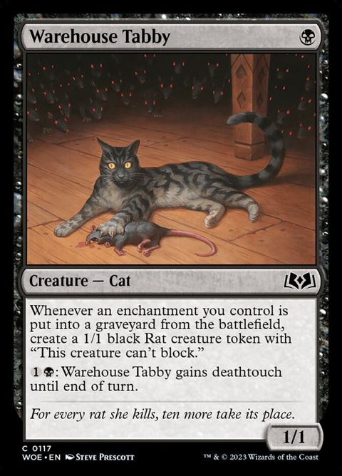 Warehouse Tabby (117)