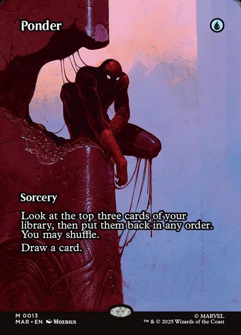 Ponder (13)