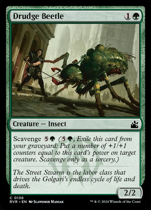 Drudge Beetle (136)
