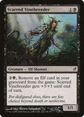 138-scarredvinebreeder