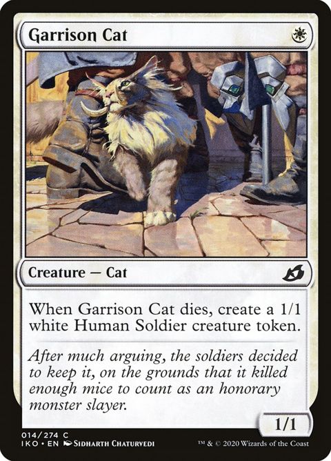 Garrison Cat (14)