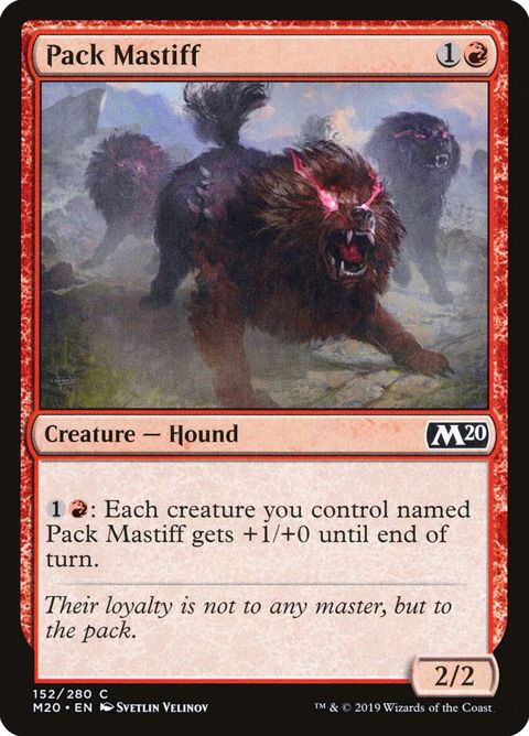 Pack Mastiff (152)