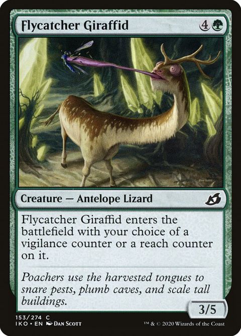 Flycatcher Giraffid (153)