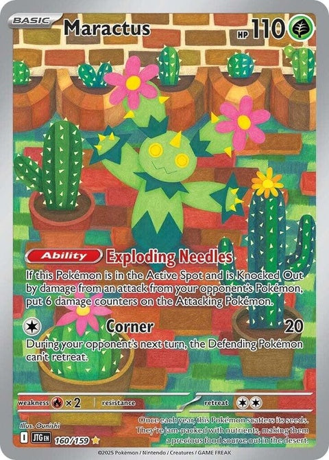 Maractus (160)