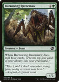 173-burrowingrazormaw
