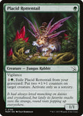 199-placidrottentail