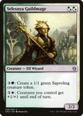 206-selesnyaguildmage