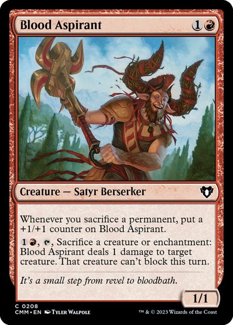 208-bloodaspirant