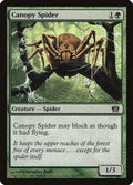 236★-canopyspider