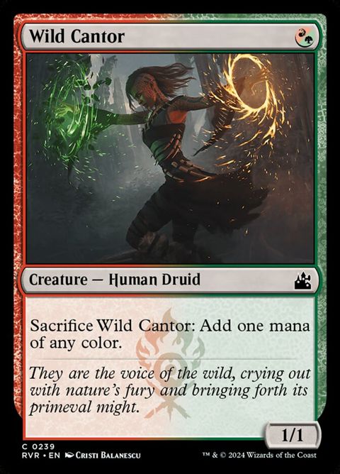 Wild Cantor (239)