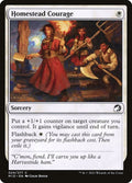 24-homesteadcourage
