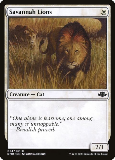 Savannah Lions (24)