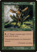 253-nantukodisciple
