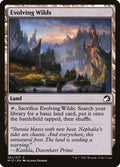 261-evolvingwilds