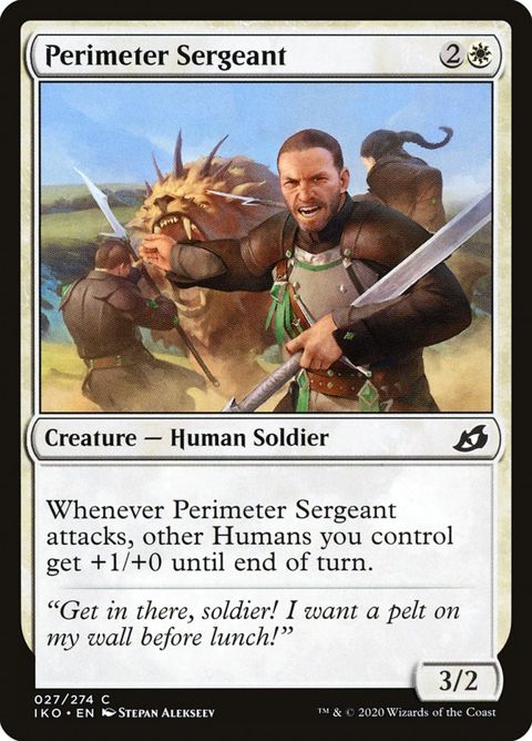 Perimeter Sergeant (27)