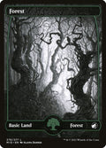 276-forest