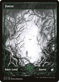 277-forest