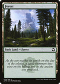 278-forest