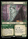 283-bramblefamiliarfetchquest-a