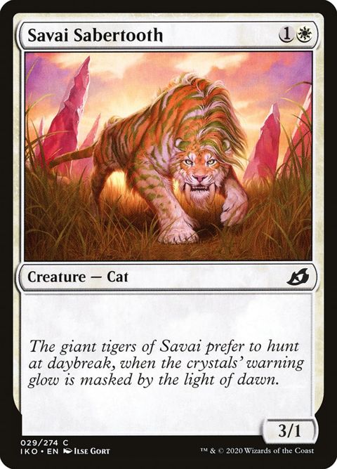 Savai Sabertooth (29)