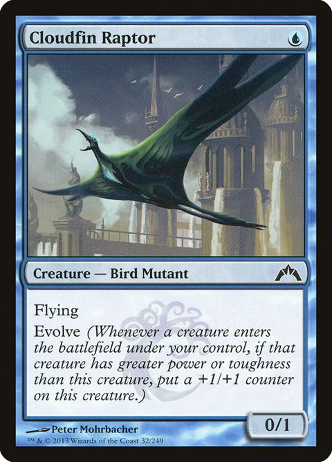 Cloudfin Raptor (32)