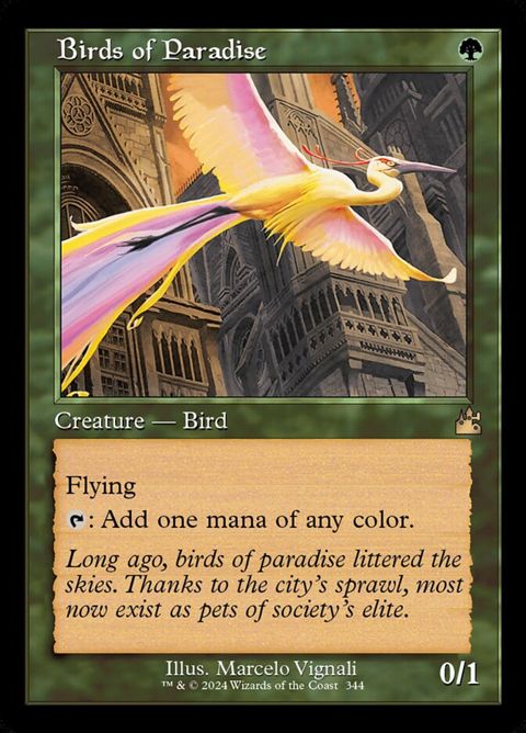 Birds of Paradise (344)