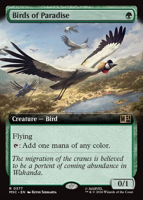 Birds of Paradise (377)
