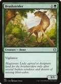381-brushstrider