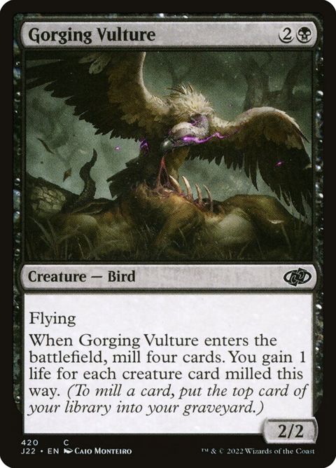 Gorging Vulture (420)