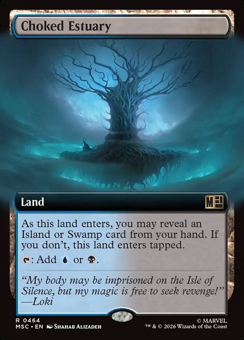 Choked Estuary (464)
