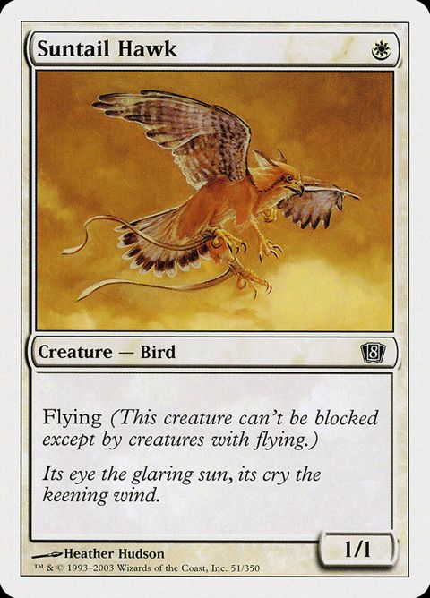Suntail Hawk (51)