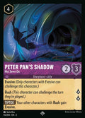 55-peterpansshadow-notsewnon
