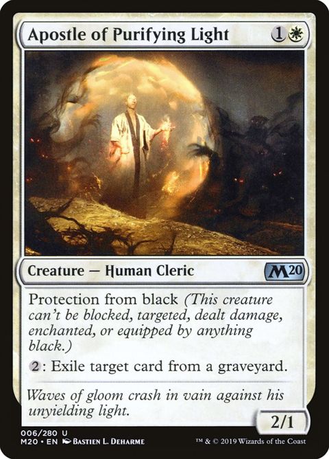 Apostle of Purifying Light (6)