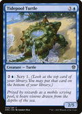 69-tidepoolturtle