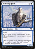 71-pilferinghawk