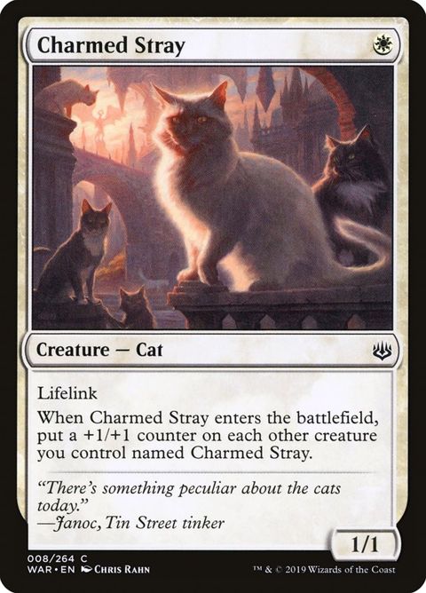 Charmed Stray (8)