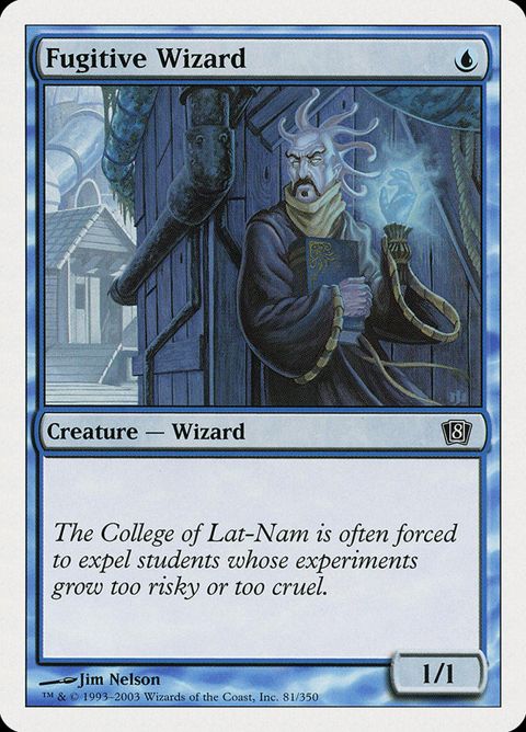 Fugitive Wizard (81)