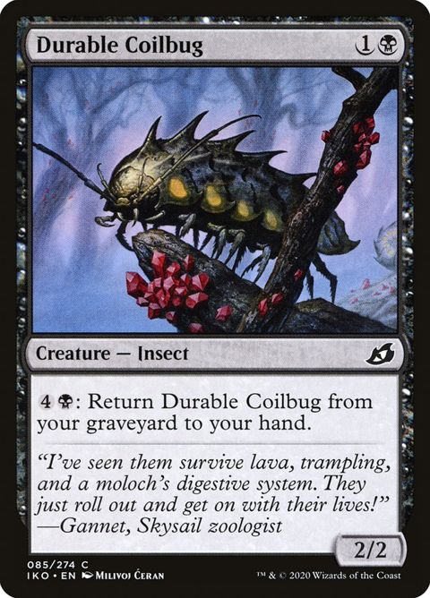 Durable Coilbug (85)